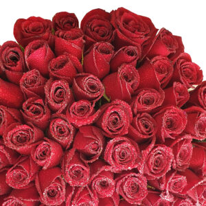 دسته گل رز مدل DG-11001